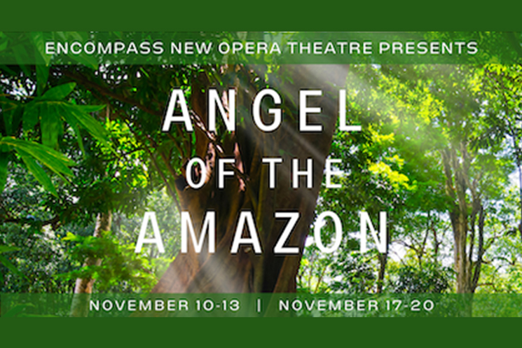 ANGEL OF THE AMAZON